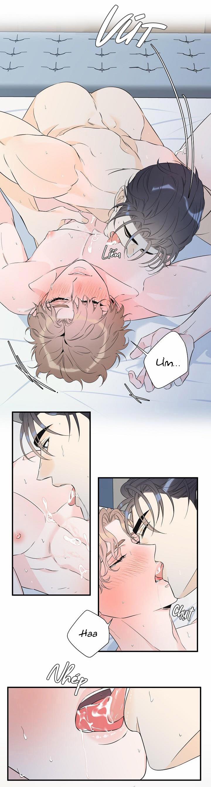 Mộng Tưởng 32 trang 11