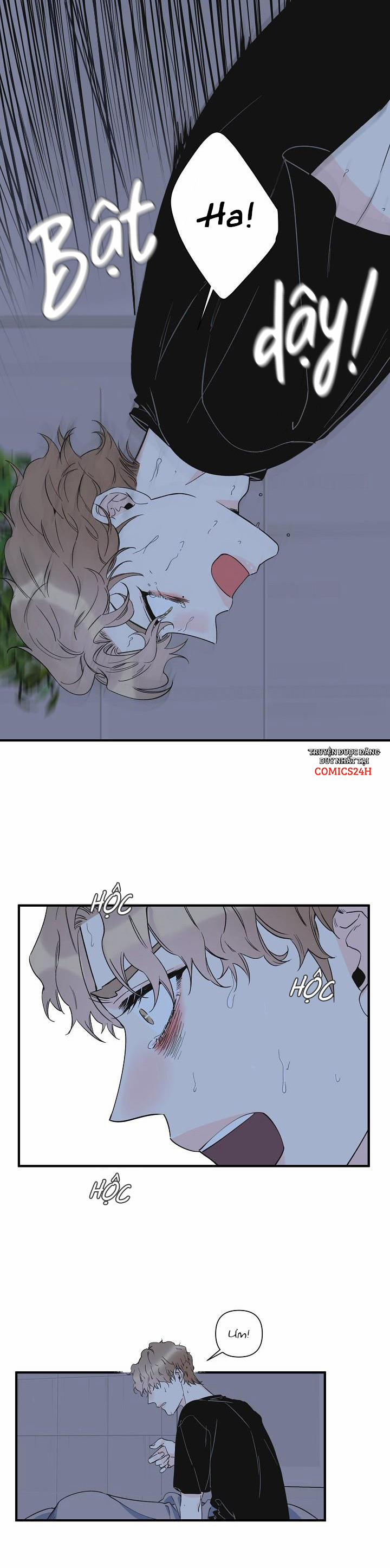 Mộng Tưởng 36 trang 5