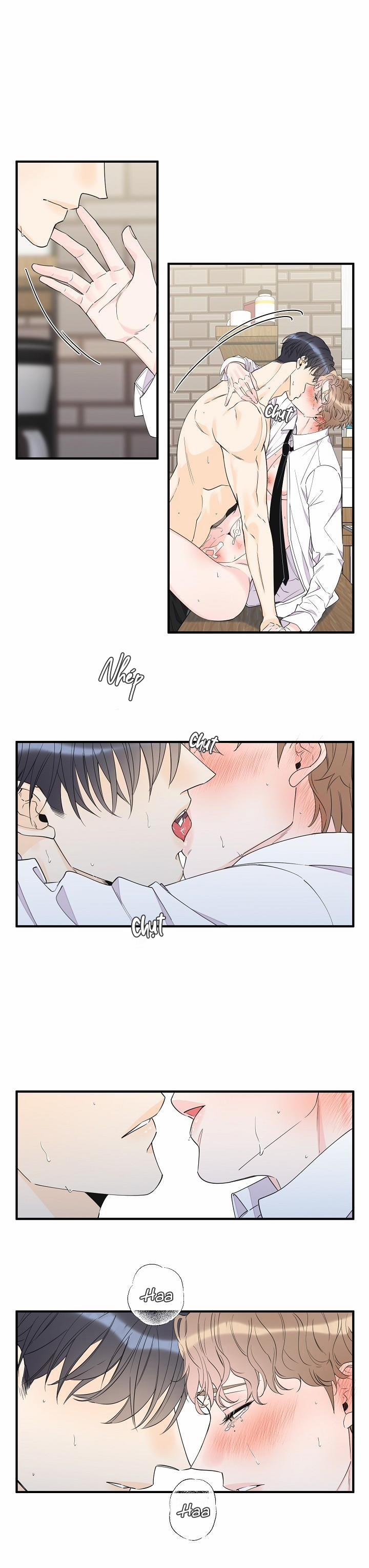 Mộng Tưởng 39 trang 11