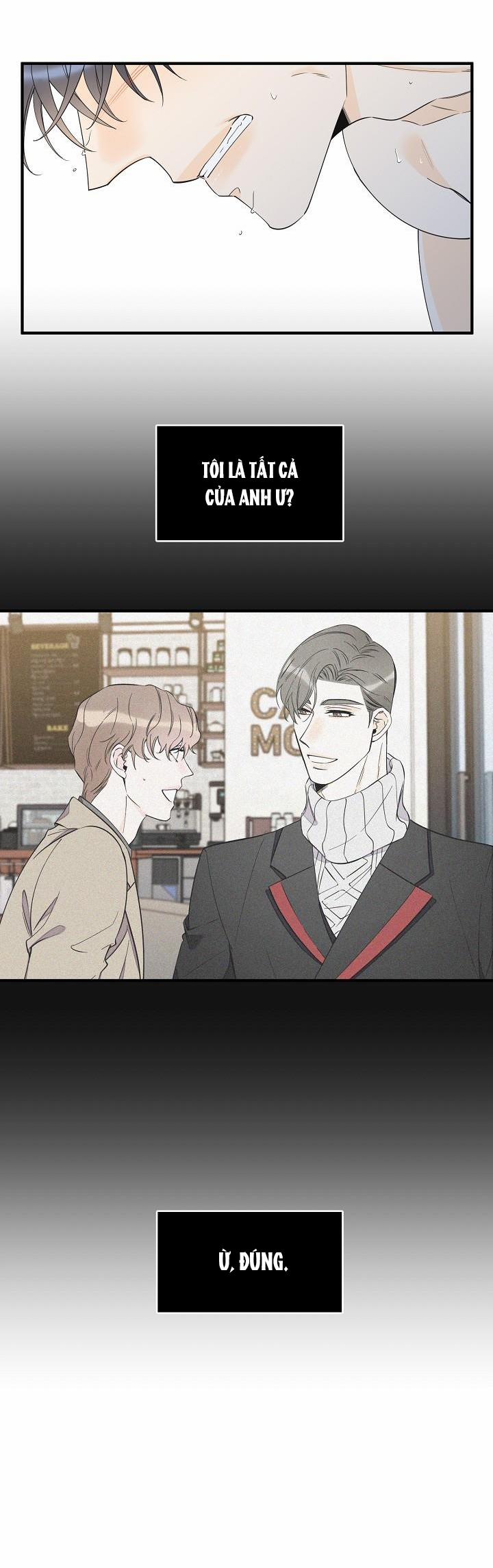 Mộng Tưởng 39 trang 15