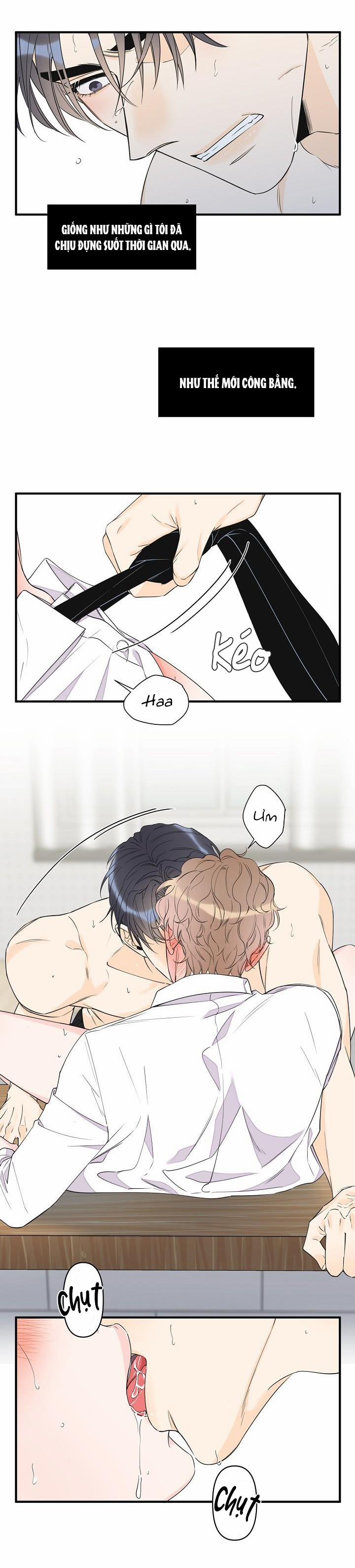 Mộng Tưởng 39 trang 17