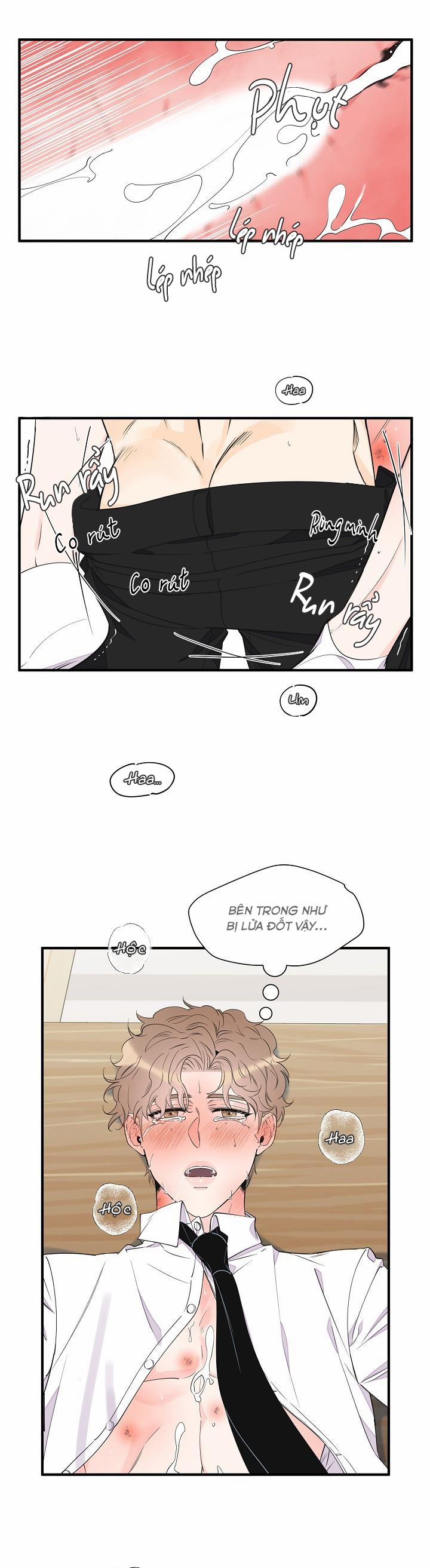 Mộng Tưởng 39 trang 22