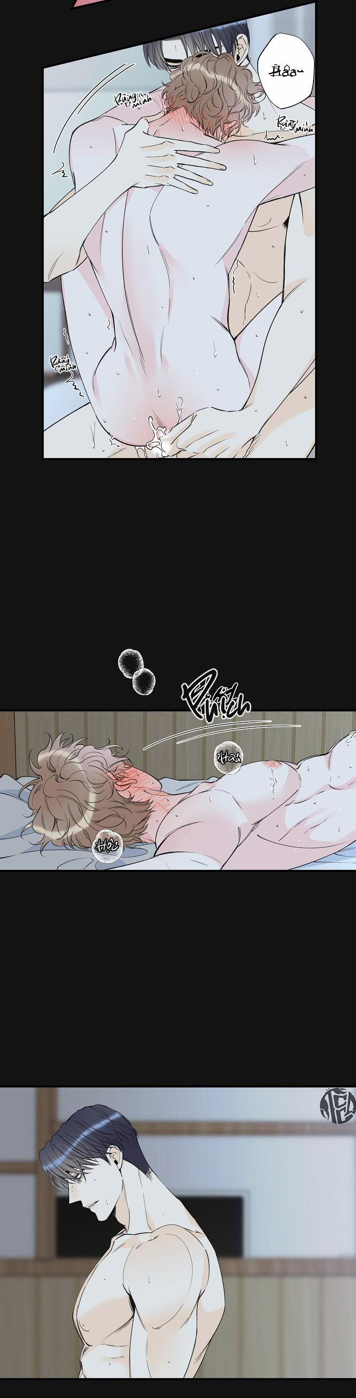 Mộng Tưởng 46 trang 15