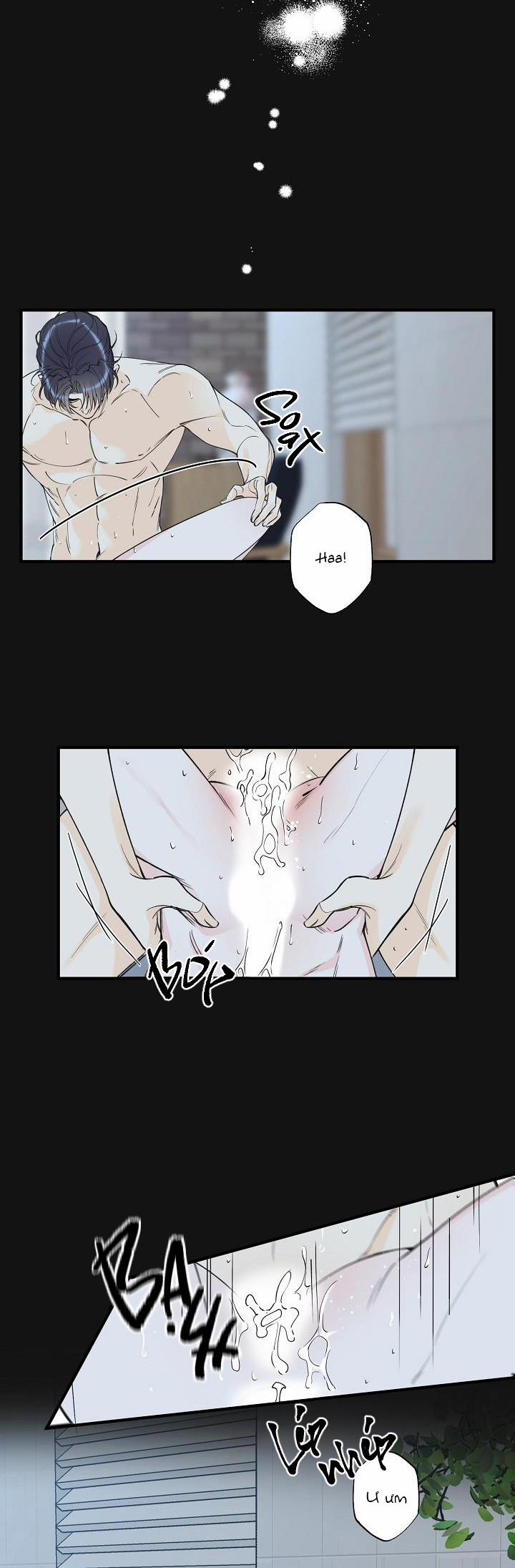 Mộng Tưởng 46 trang 6