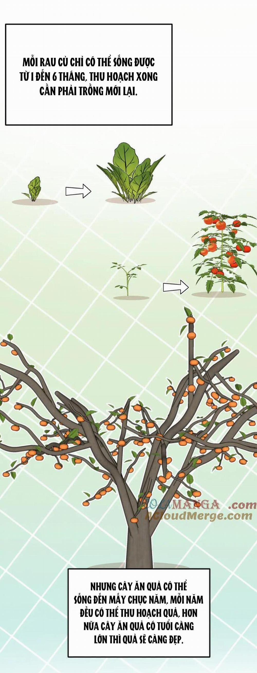 Mong Ước Của Thần Quan Là Được Cưỡi Ác Long Thiên Cổ 43 trang 10