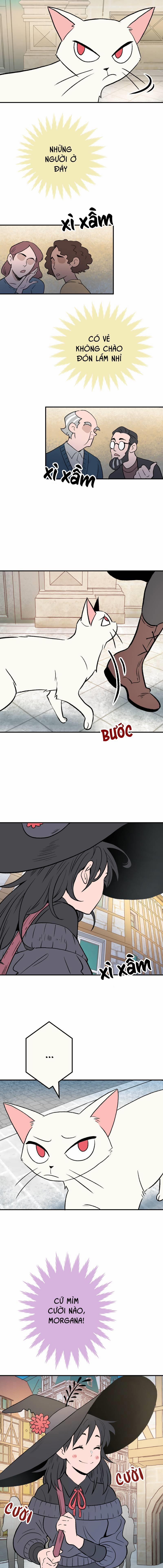 Morgana and Oz 14 trang 1
