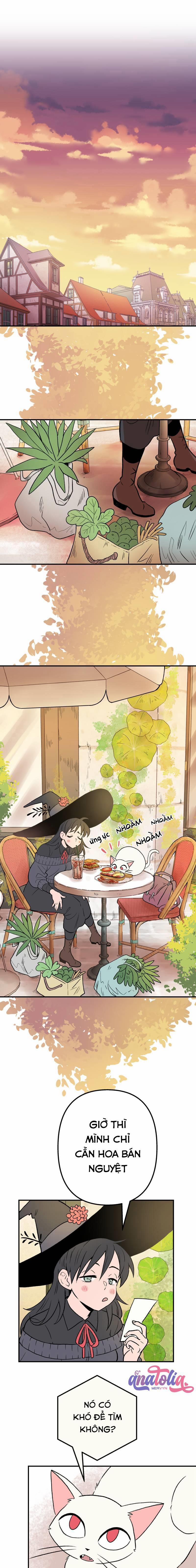 Morgana and Oz 15 trang 0