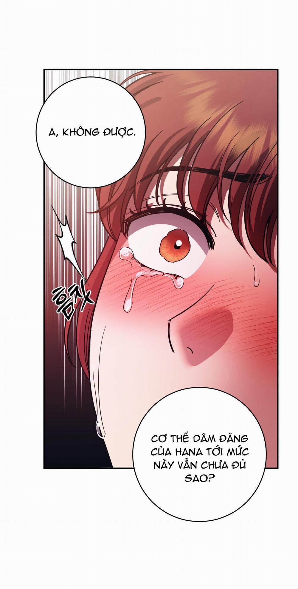 Một Lòng Một Dạ 91.1 trang 12