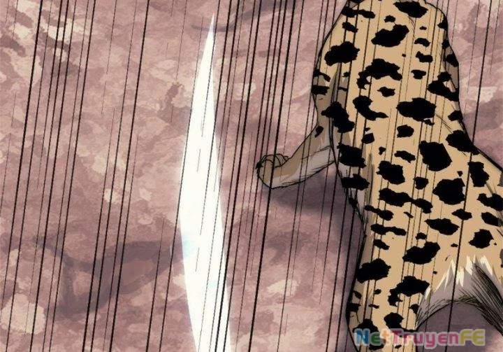 Một Ngày Của Tôi Có 48 Giờ 16 trang 17