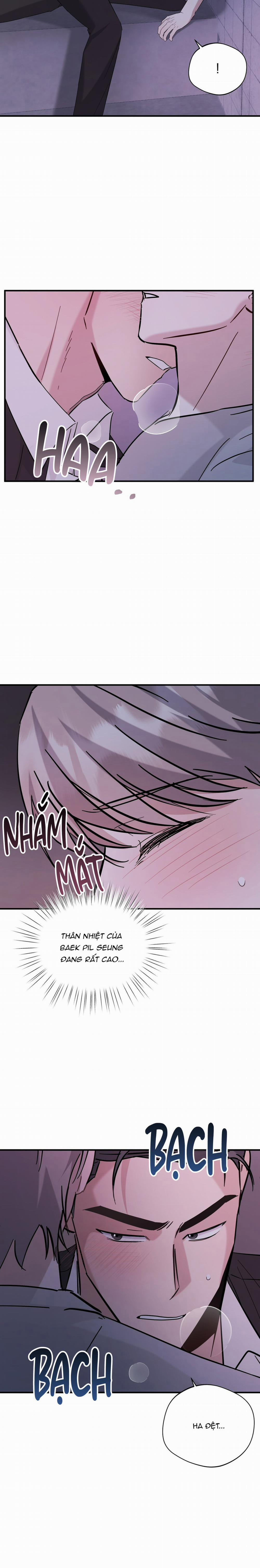 Một Ngày Nọ, Tên Xã Hội Đen Tìm Đến 16 trang 2