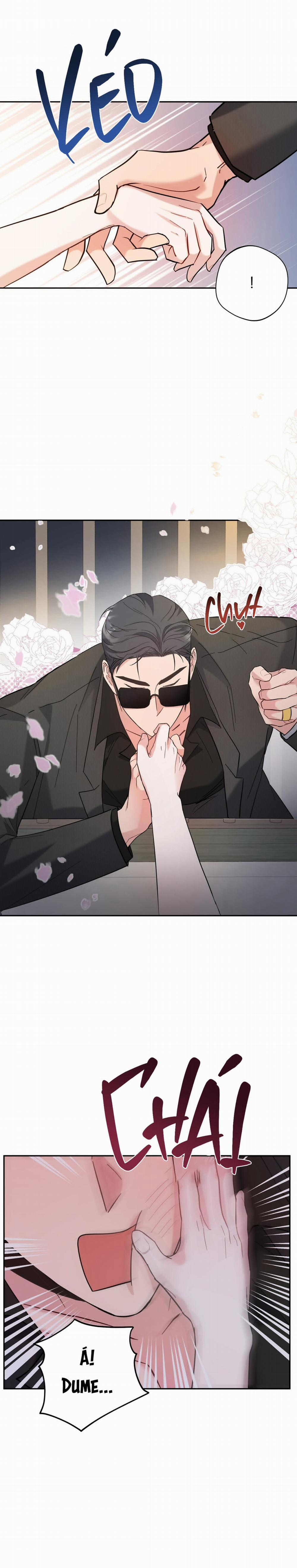 Một Ngày Nọ, Tên Xã Hội Đen Tìm Đến 8 trang 5