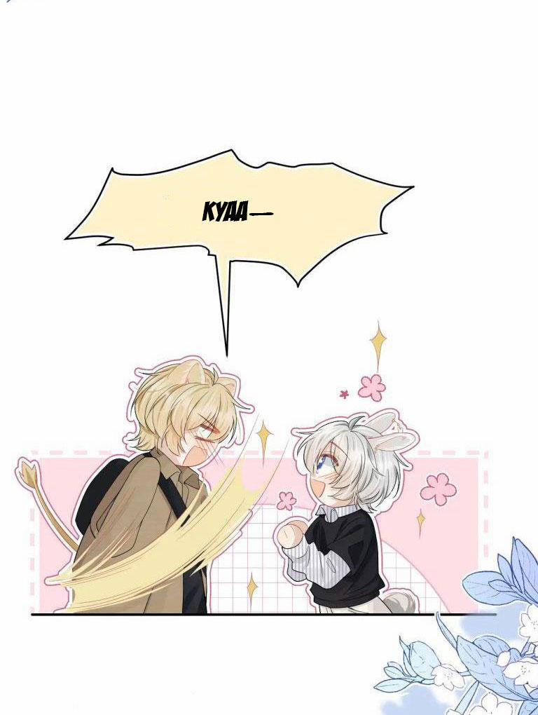 Một Ngụm Ăn Thỏ 75 trang 23