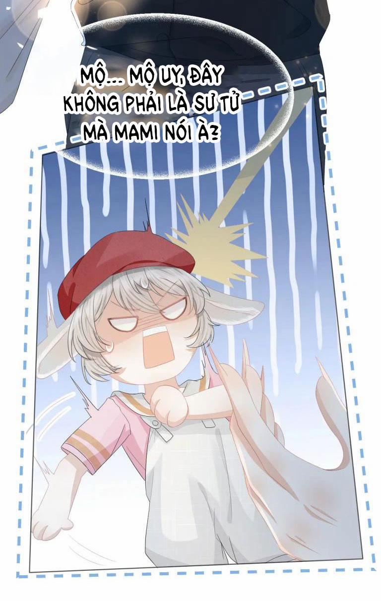 Một Ngụm Ăn Thỏ 81 trang 27