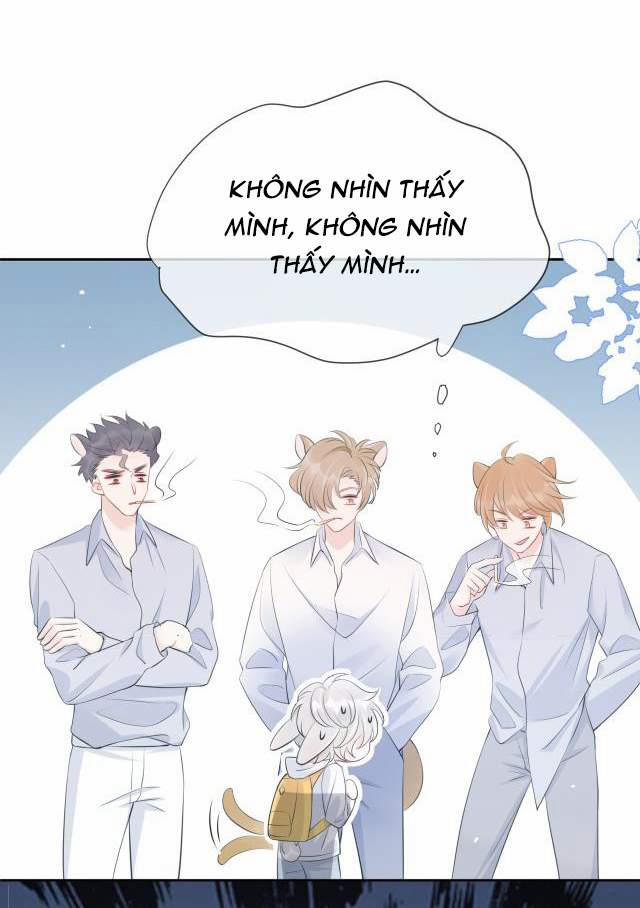 Một Ngụm Nuốt Trọn Thỏ Con 1 trang 12