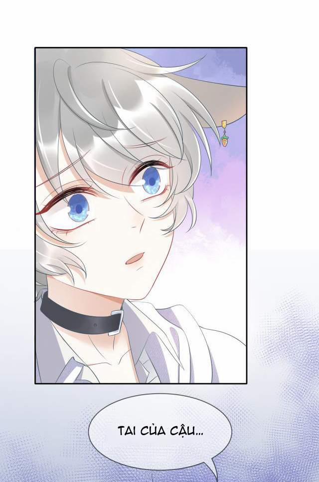 Một Ngụm Nuốt Trọn Thỏ Con 1 trang 39