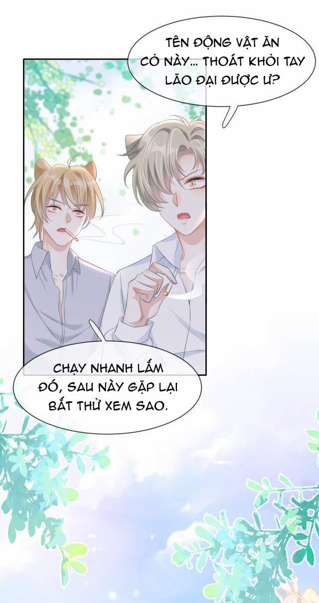 Một Ngụm Nuốt Trọn Thỏ Con 1 trang 49