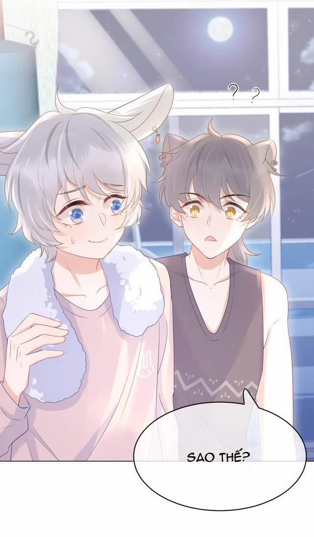 Một Ngụm Nuốt Trọn Thỏ Con 11 trang 20