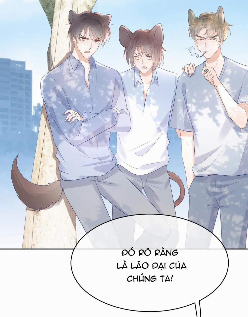 Một Ngụm Nuốt Trọn Thỏ Con 12 trang 17