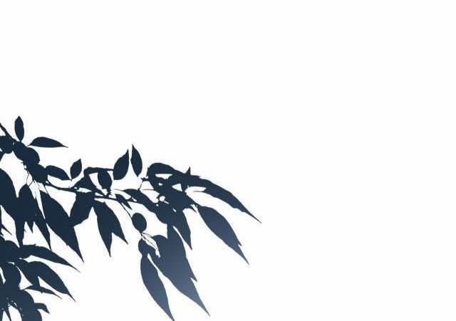 Một Ngụm Nuốt Trọn Thỏ Con 14 trang 37