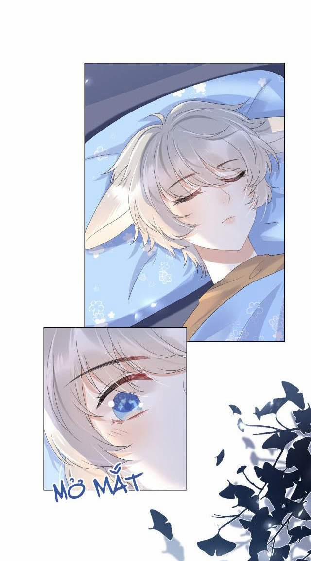 Một Ngụm Nuốt Trọn Thỏ Con 14 trang 45