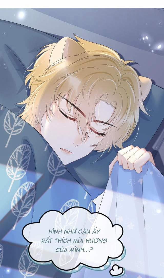 Một Ngụm Nuốt Trọn Thỏ Con 14 trang 48