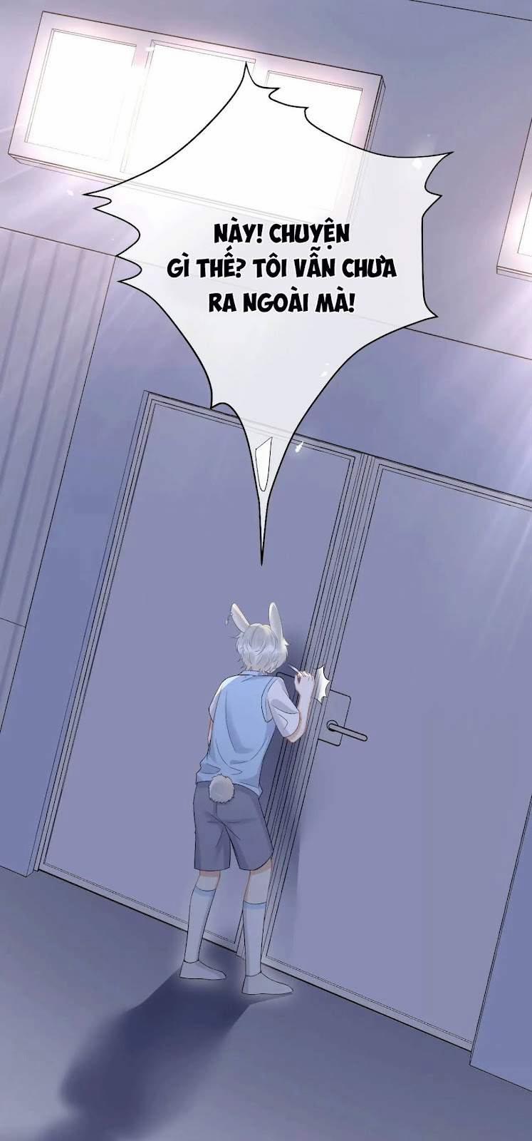 Một Ngụm Nuốt Trọn Thỏ Con 15 trang 28