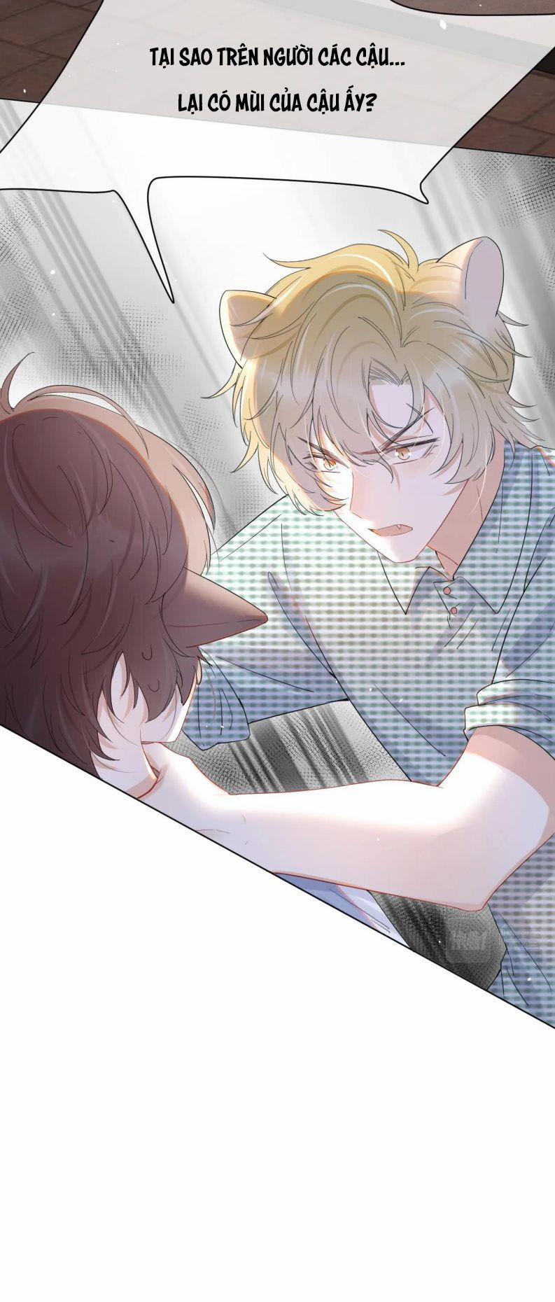 Một Ngụm Nuốt Trọn Thỏ Con 16 trang 21