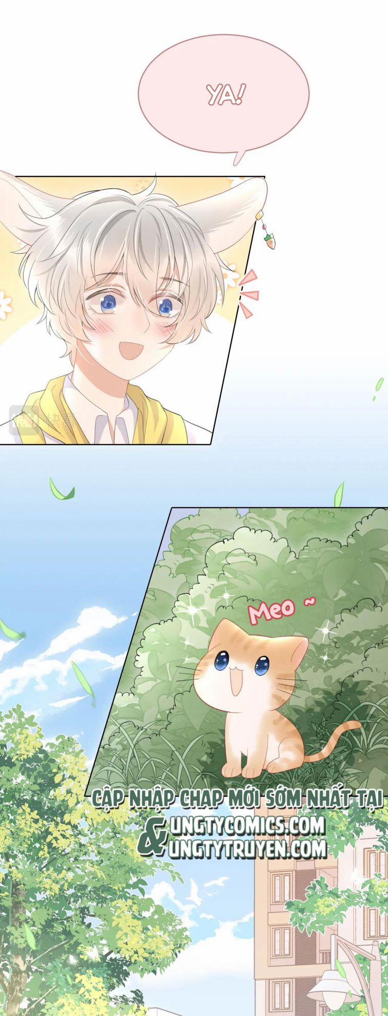Một Ngụm Nuốt Trọn Thỏ Con 19 trang 8