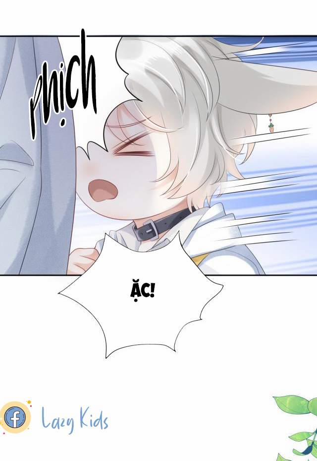 Một Ngụm Nuốt Trọn Thỏ Con 2 trang 17