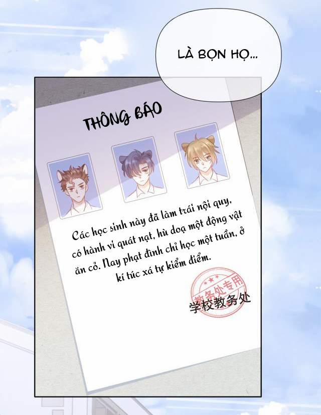 Một Ngụm Nuốt Trọn Thỏ Con 2 trang 24