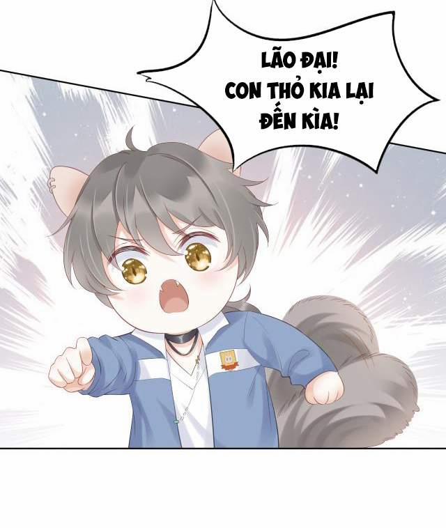 Một Ngụm Nuốt Trọn Thỏ Con 2 trang 44