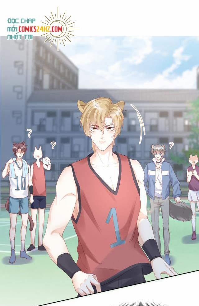 Một Ngụm Nuốt Trọn Thỏ Con 2 trang 50