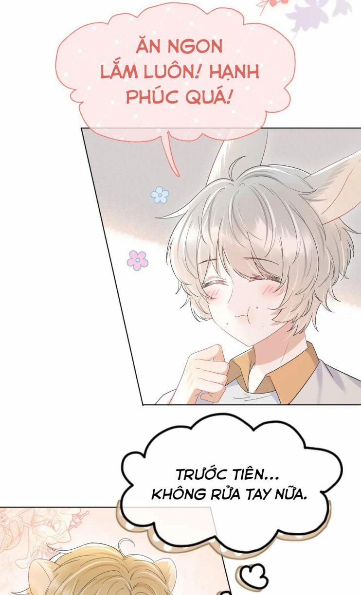 Một Ngụm Nuốt Trọn Thỏ Con 20 trang 31