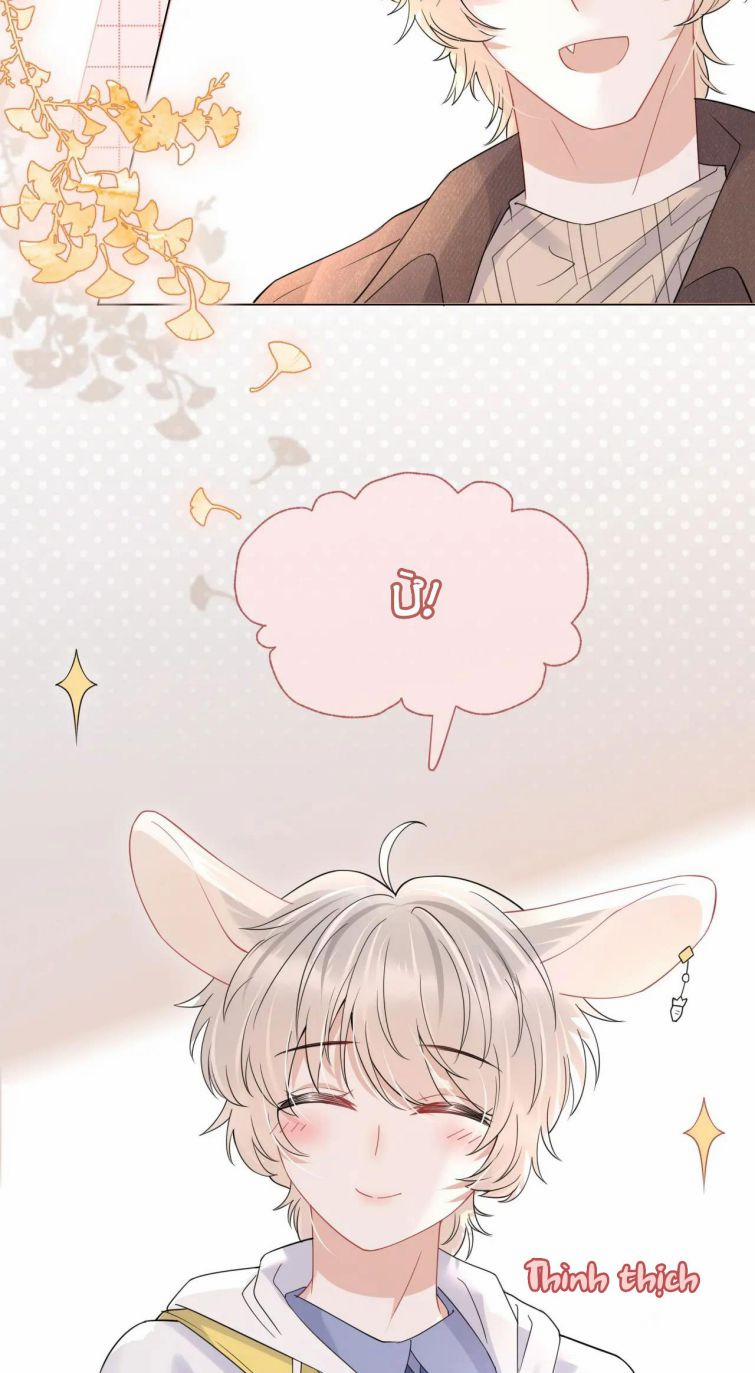 Một Ngụm Nuốt Trọn Thỏ Con 21 trang 26