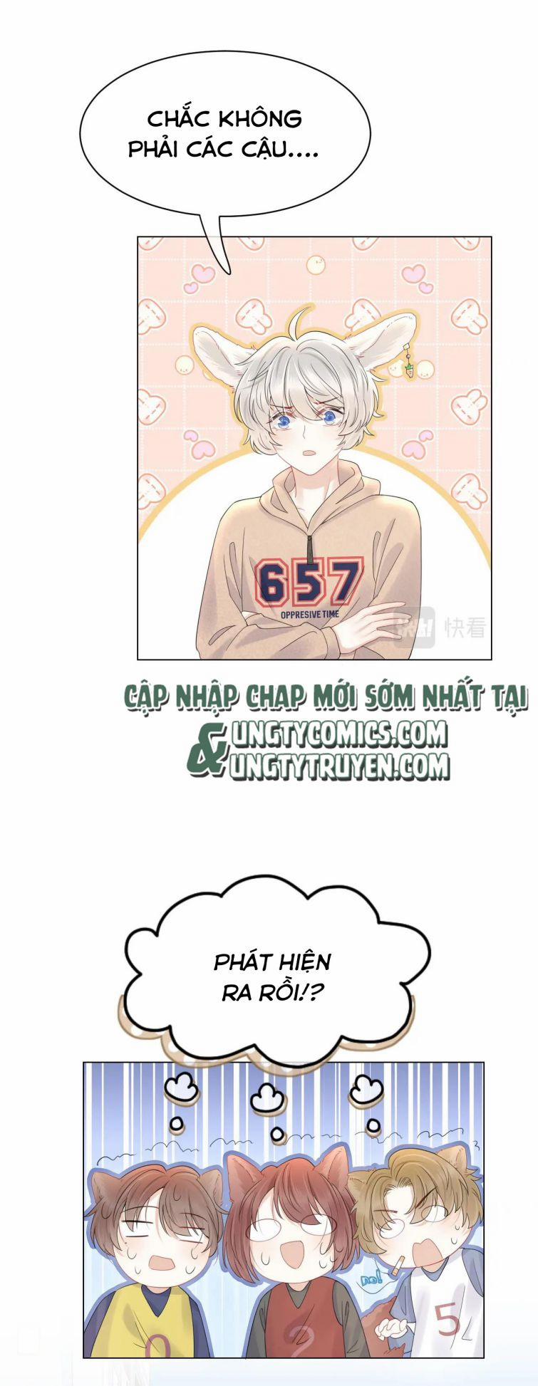 Một Ngụm Nuốt Trọn Thỏ Con 24 trang 19