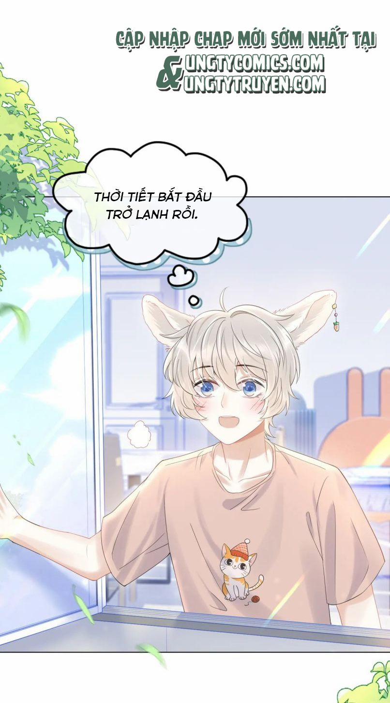 Một Ngụm Nuốt Trọn Thỏ Con 25 trang 3