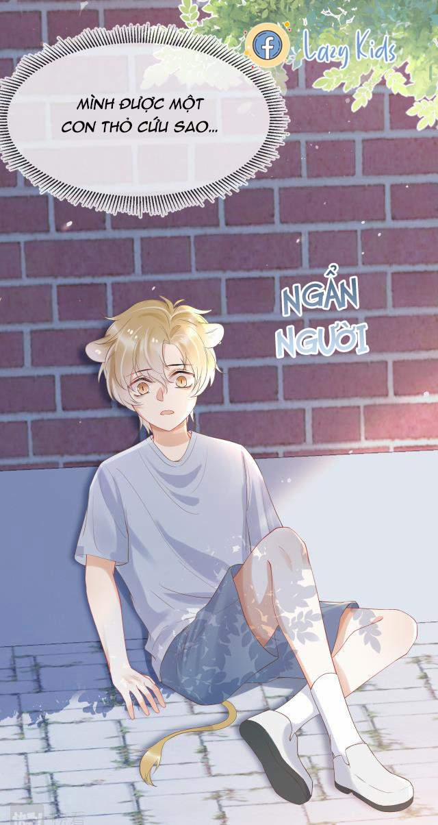 Một Ngụm Nuốt Trọn Thỏ Con 3 trang 49