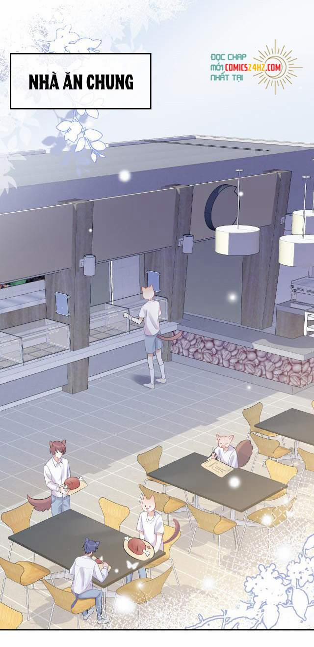 Một Ngụm Nuốt Trọn Thỏ Con 4 trang 2