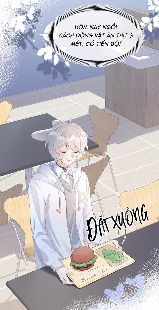 Một Ngụm Nuốt Trọn Thỏ Con 4 trang 4