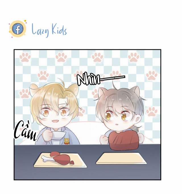 Một Ngụm Nuốt Trọn Thỏ Con 4 trang 9