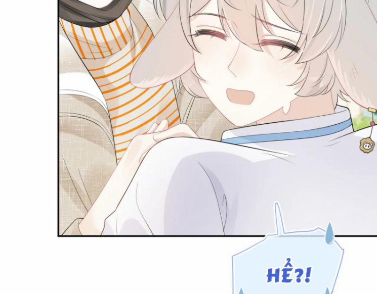 Một Ngụm Nuốt Trọn Thỏ Con 49 trang 6