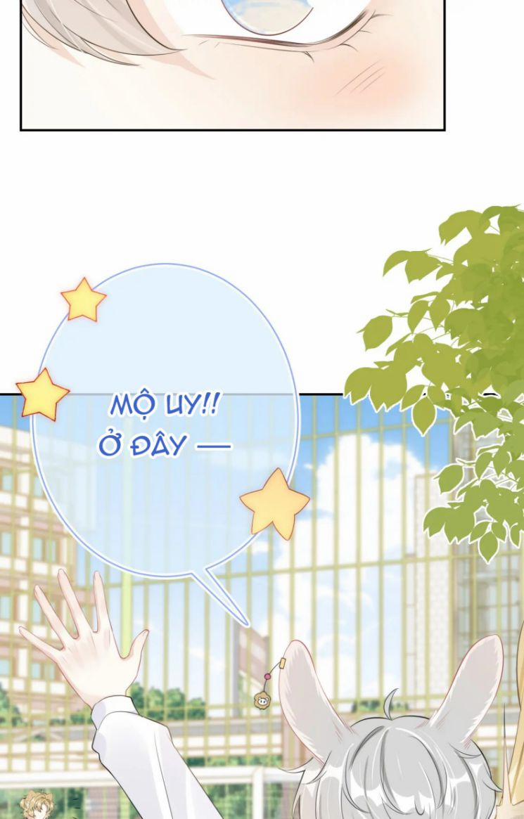 Một Ngụm Nuốt Trọn Thỏ Con 49 trang 8