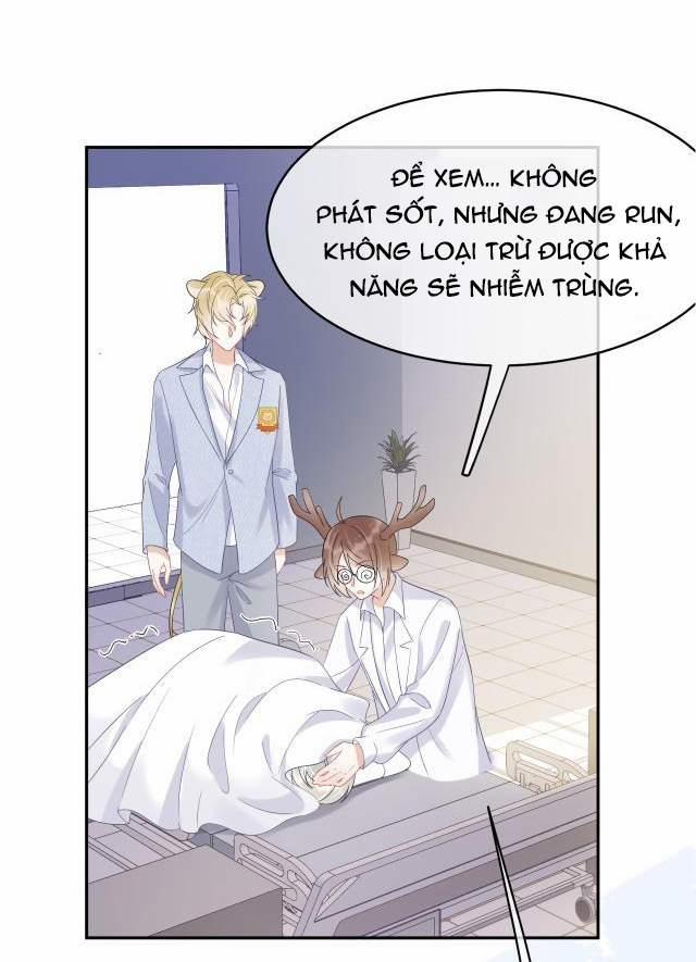 Một Ngụm Nuốt Trọn Thỏ Con 5 trang 26