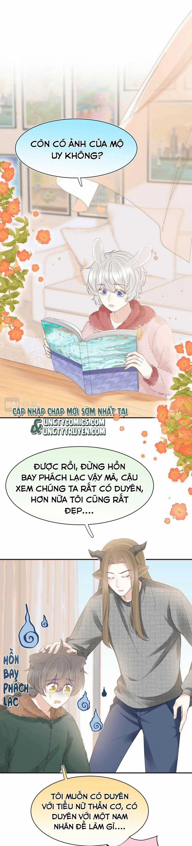 Một Ngụm Nuốt Trọn Thỏ Con 53 trang 0