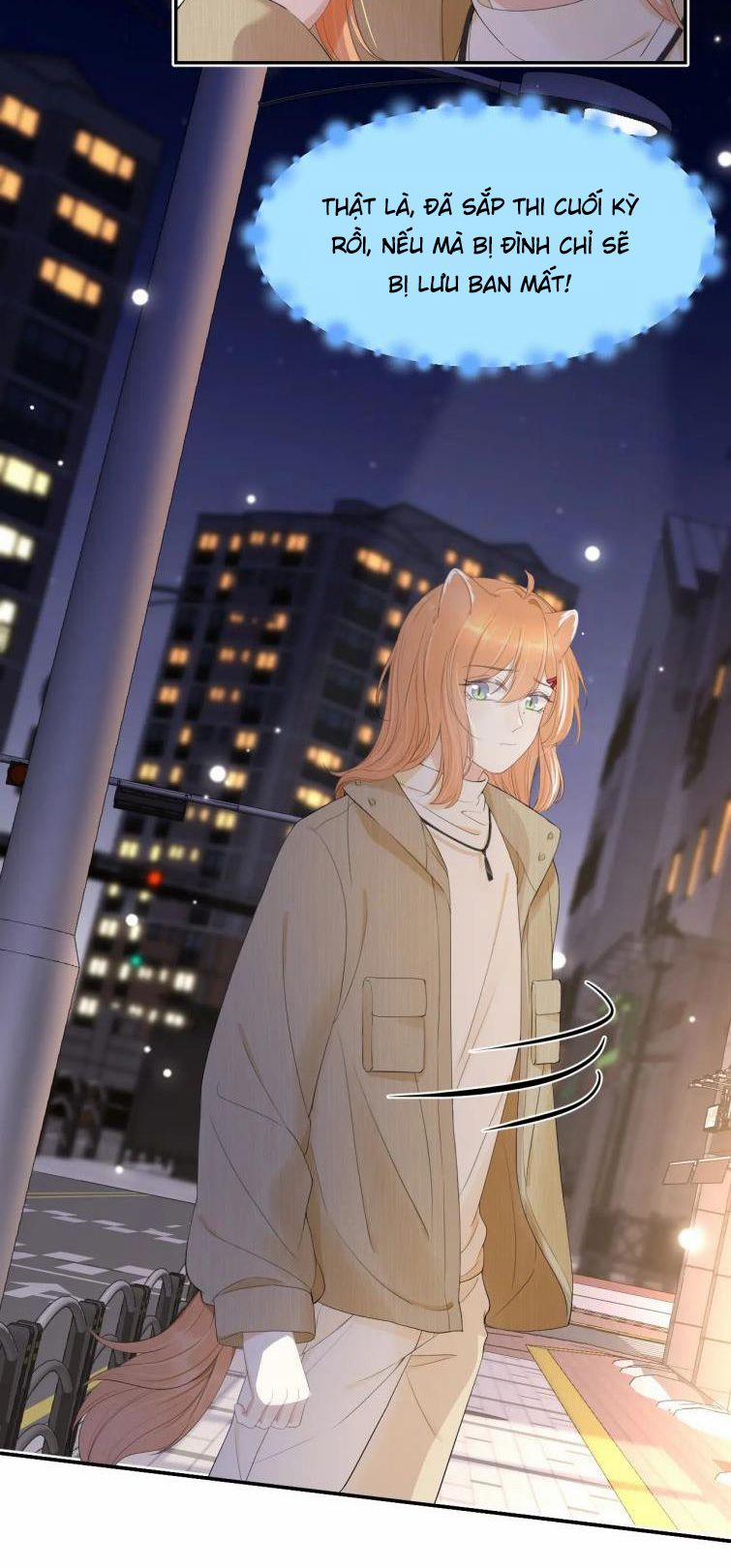 Một Ngụm Nuốt Trọn Thỏ Con 55 trang 49