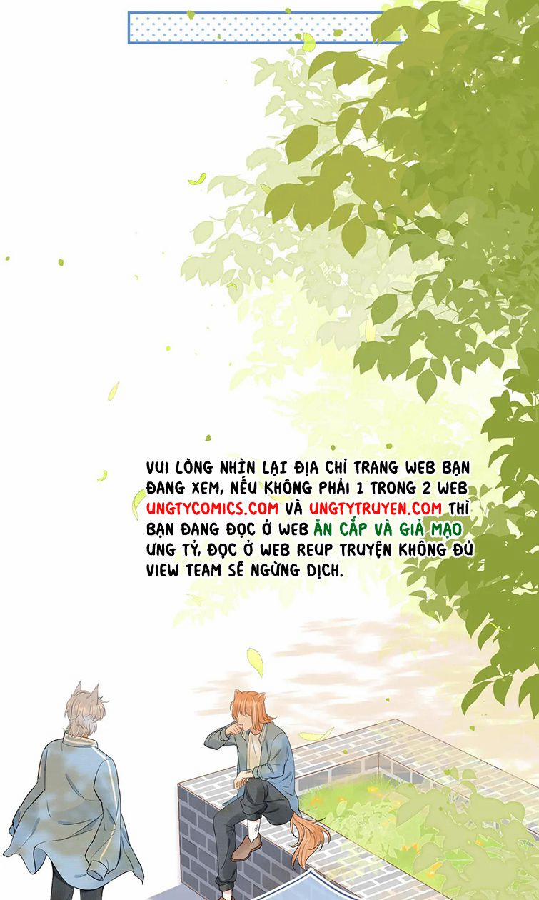 Một Ngụm Nuốt Trọn Thỏ Con 56 trang 12