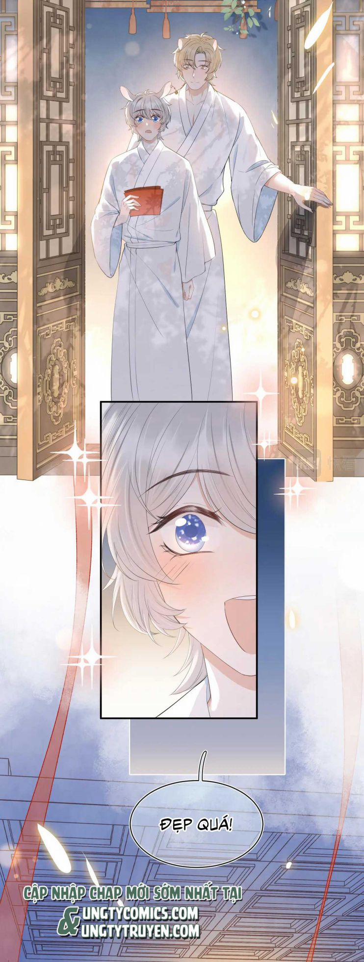 Một Ngụm Nuốt Trọn Thỏ Con 58 trang 21