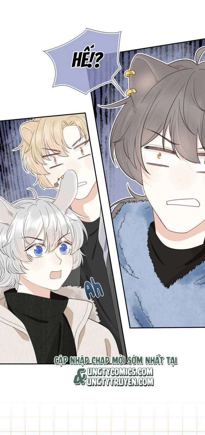 Một Ngụm Nuốt Trọn Thỏ Con 59 trang 16