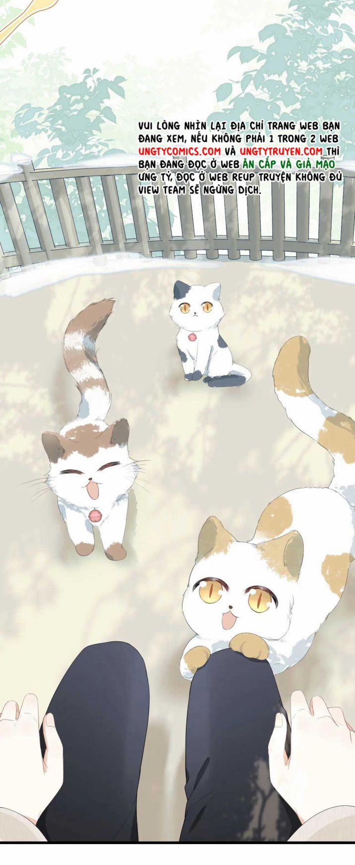 Một Ngụm Nuốt Trọn Thỏ Con 59 trang 9