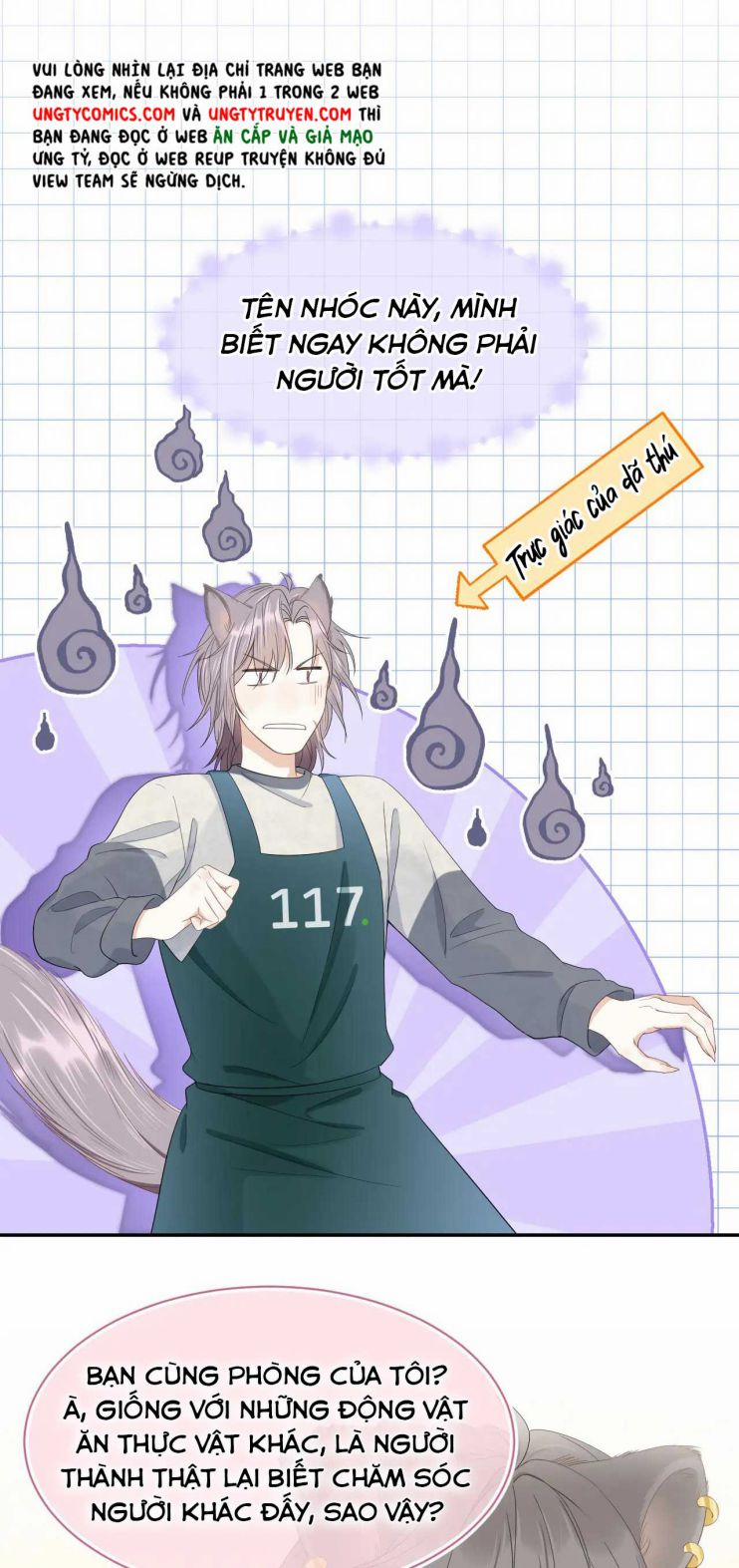 Một Ngụm Nuốt Trọn Thỏ Con 60 trang 14